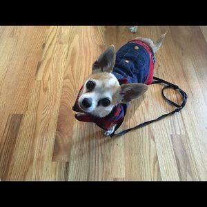 Meet your Posher, Dylan